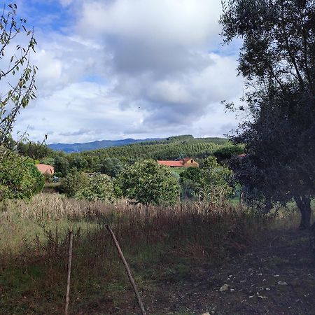 Alojamento Casa Do Cabeco Alombada Macinhata do Vouga Ngoại thất bức ảnh