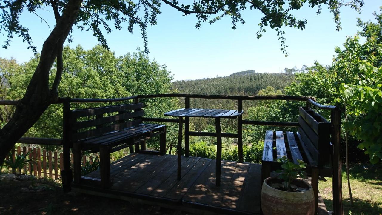 Alojamento Casa Do Cabeco Alombada Macinhata do Vouga Ngoại thất bức ảnh