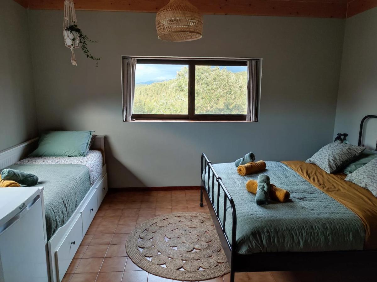 Alojamento Casa Do Cabeco Alombada Macinhata do Vouga Ngoại thất bức ảnh