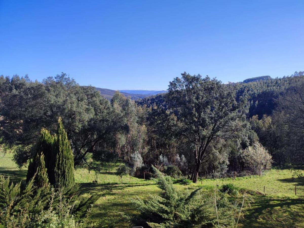 Alojamento Casa Do Cabeco Alombada Macinhata do Vouga Ngoại thất bức ảnh