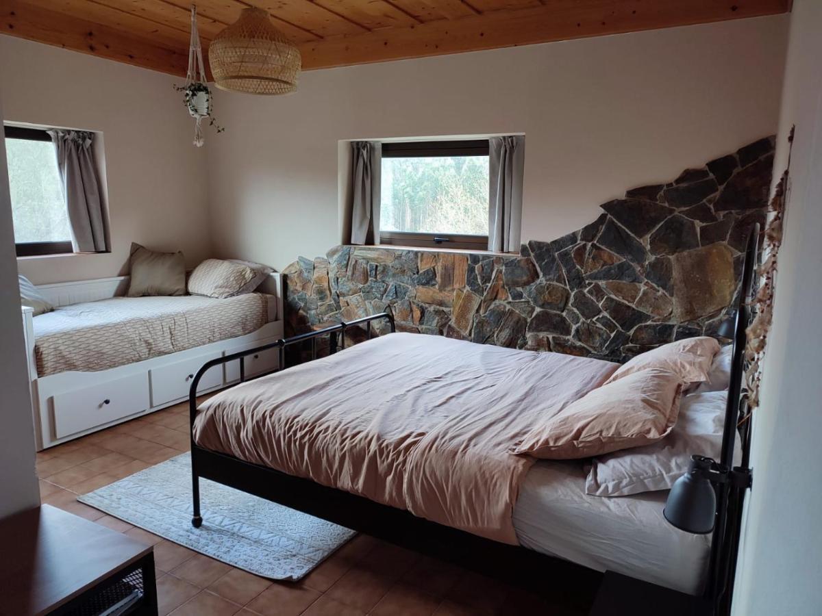 Alojamento Casa Do Cabeco Alombada Macinhata do Vouga Ngoại thất bức ảnh