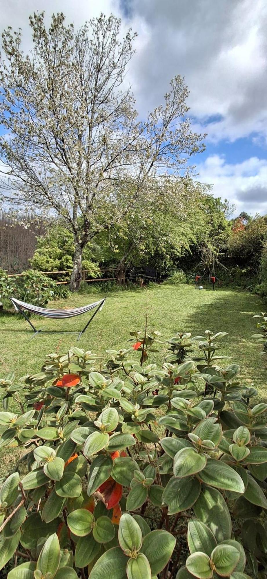 Alojamento Casa Do Cabeco Alombada Macinhata do Vouga Ngoại thất bức ảnh