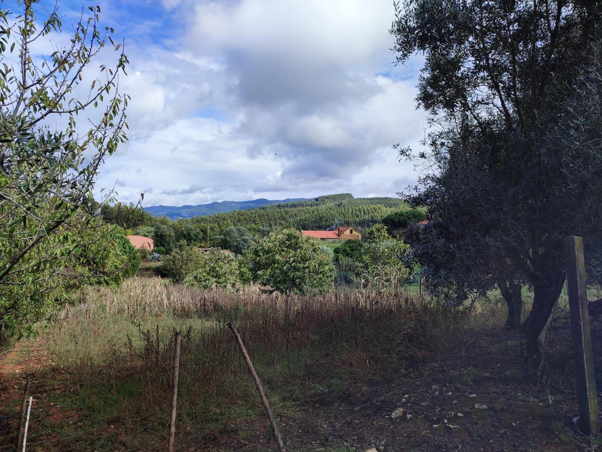 Alojamento Casa Do Cabeco Alombada Macinhata do Vouga Ngoại thất bức ảnh